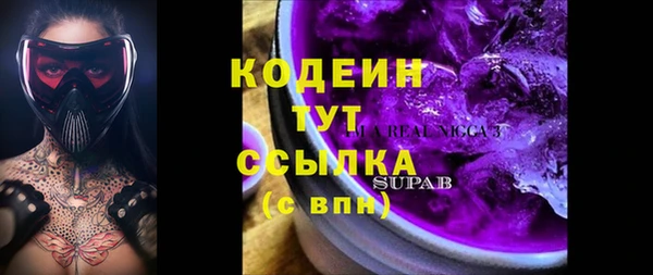 дмт Гусь-Хрустальный