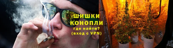 дмт Гусь-Хрустальный