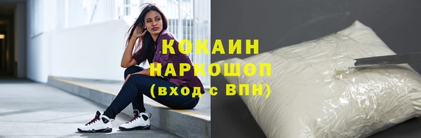 дмт Гусь-Хрустальный