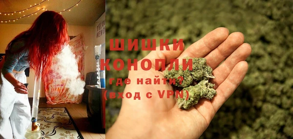 spice Гусиноозёрск
