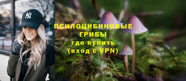 дмт Гусь-Хрустальный